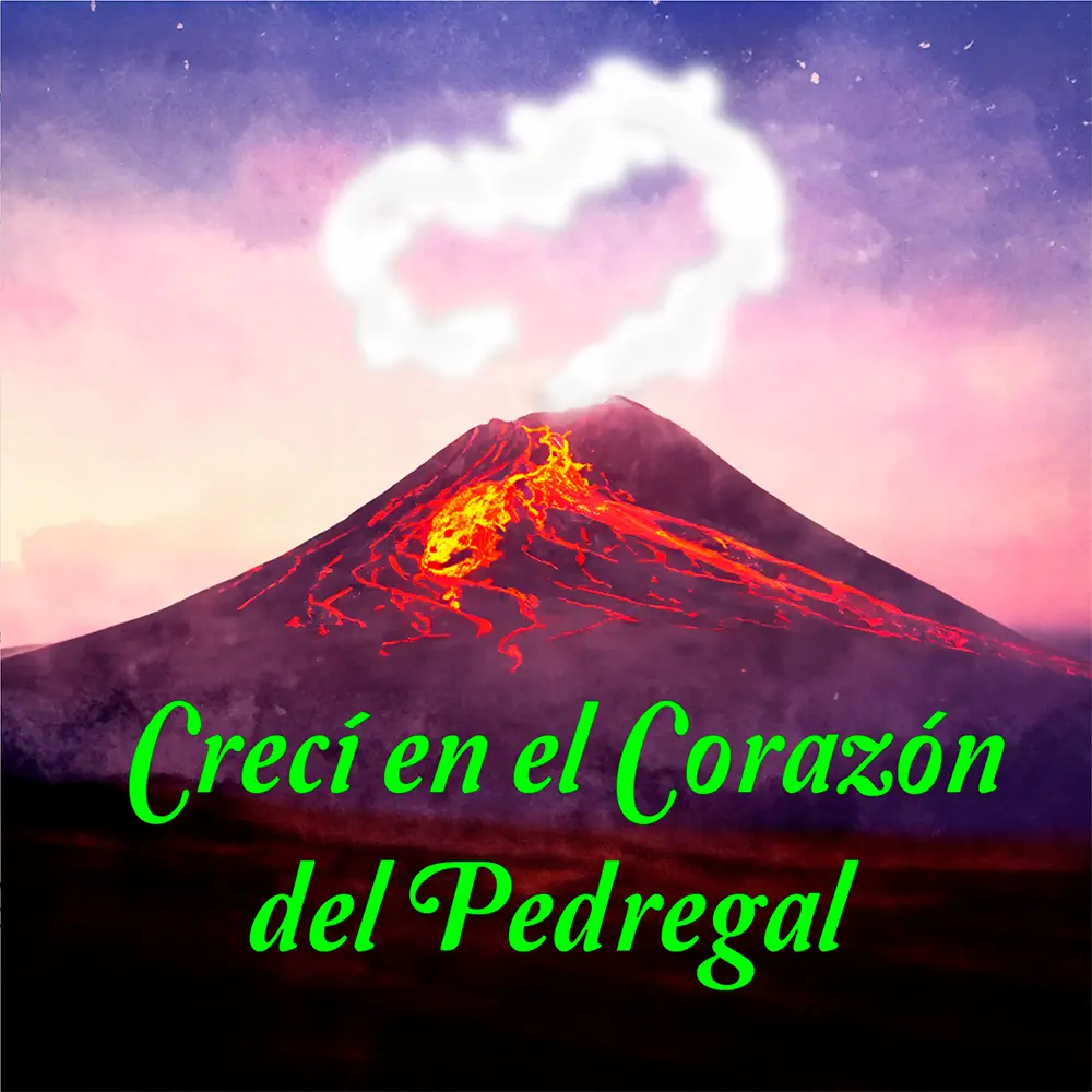 Crecí en el Corazón del Pedregal de Omar Aguirre